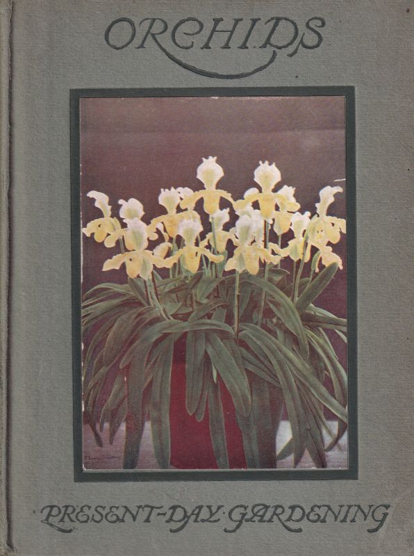 O´Brien,James  Orchids - Present-Day Gardening 