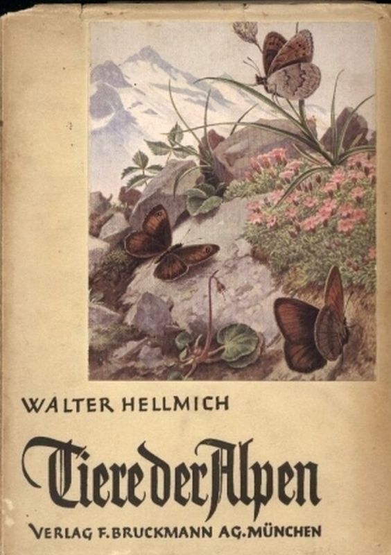 Hellmich,Walter  Tiere der Alpen. Ein Wegweiser für Bergsteiger 