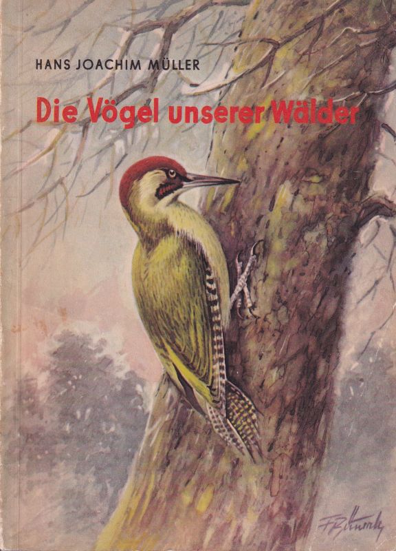 Müller,Hans-Joachim  Die Vögel unserer Wälder 