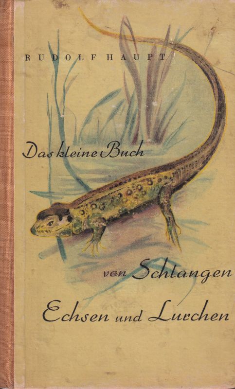 Haupt,Rudolf  Das kleine Buch von Schlangen,Echsen und Lurchen 