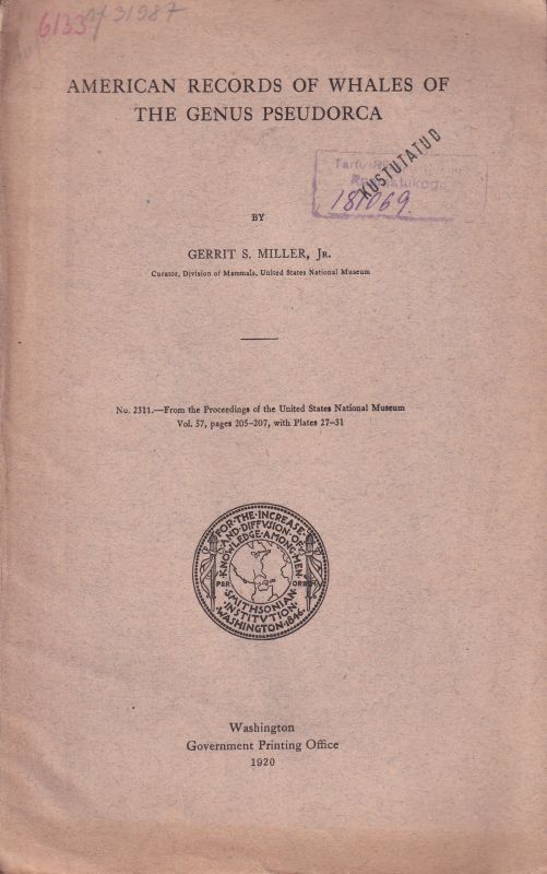 Miller,Gerrit S.  American Records of Whales of the Genus Pseudorca 