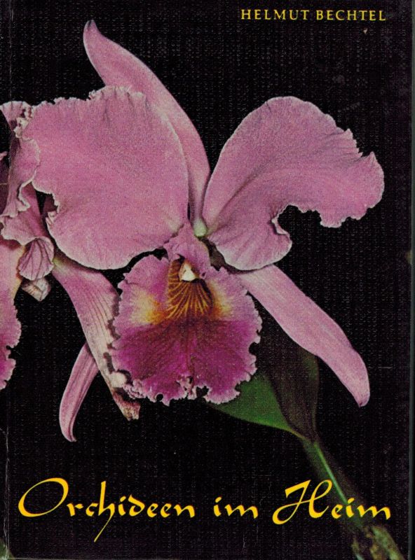 Bechtel,Helmut  Orchideen im Heim 