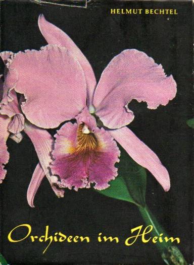 Bechtel,Helmut  Orchideen im Heim 