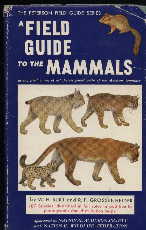 Burt,William Henry+Richard Philip Grossenheider  Fieldguide to the Mammals 