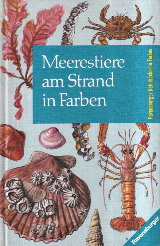 Gutmann,Wolfgang F.  Meerestiere am Strand in Farben 
