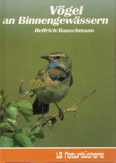 Helfrich,Rolf und Gerd Bauschmann  Vögel an Binnengewässern 