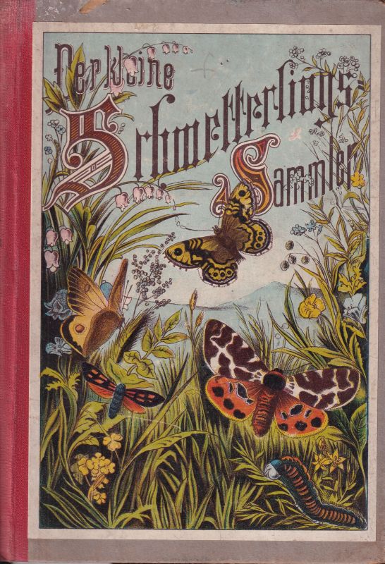 Schram,Wilhelm C.  Der kleine Schmetterlings-Sammler 
