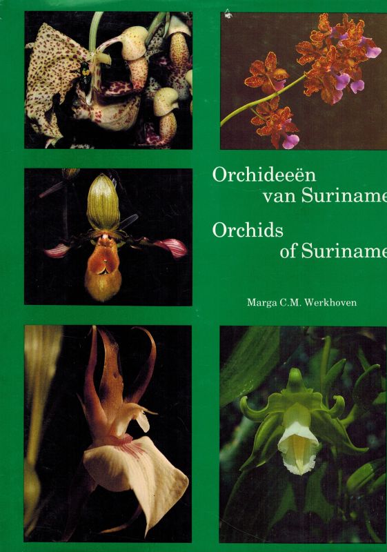 Werkhoven,Marga C.M  Orchideeën van Suriname / Orchids of Suriname 