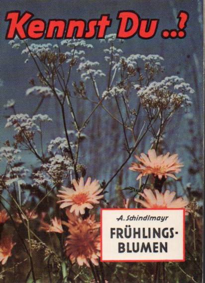 Schindlmayr,A.  Frühlingsblumen 