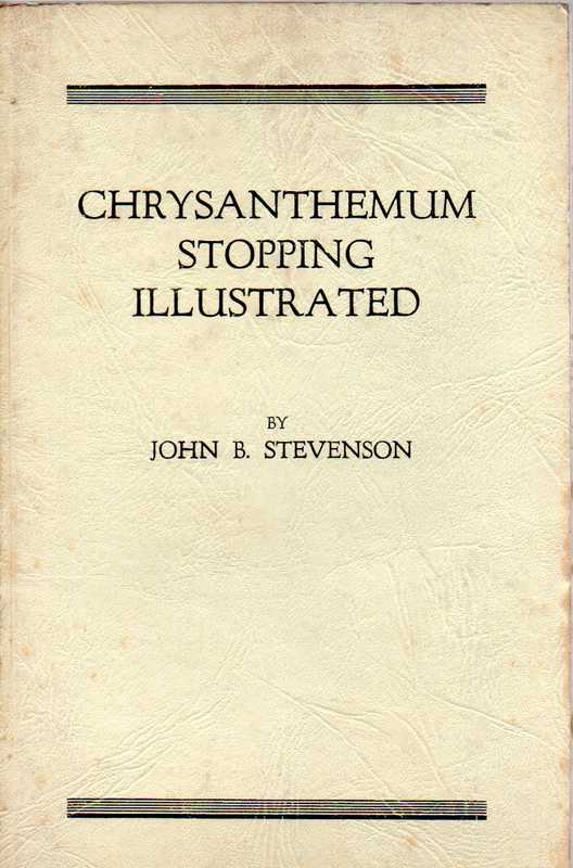 Stevenson,John B.  Chrysanthemum stopping illustrated 