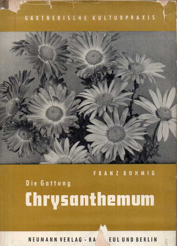 Böhmig,Franz  Die Gattung Chrysanthemum 