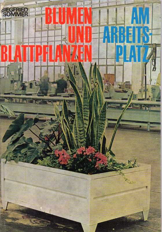 Sommer,Siegfried  Blumen und Blattpflanzen am Arbeitsplatz 