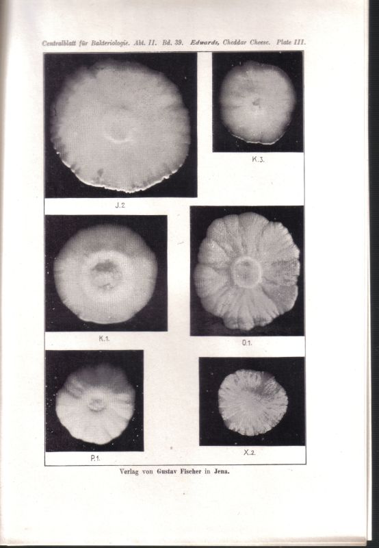 Centralblatt für Bakteriologie, Parasitenkunde  und Infektionskrankheiten 2.Abteilung 39.Band 1913-14 No.1/3-26 