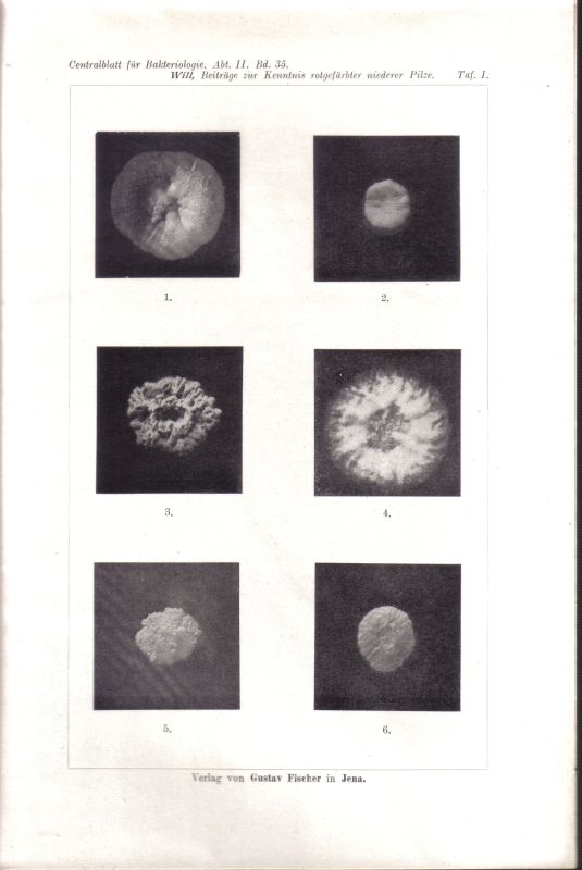 Centralblatt für Bakteriologie, Parasitenkunde  und Infektionskrankheiten.2.Abteilung.35.Band.1912.No.1/5-26 