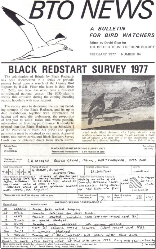 BTO News  Jahrgang 1977.Number 84,85,86,87,88,89,90 