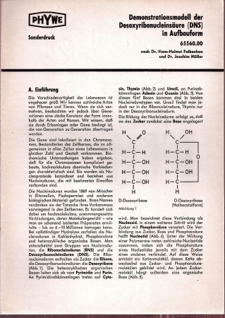 Falkenhan,Hans-Helmut+Joachim Müller  Demonstrationsmodell der Desoxyribonucleinsäure (DNS) in Aufbauform 