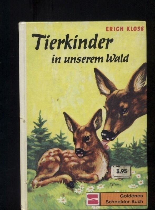 Kloss,Erich  Tierkinder in unserem Wald 