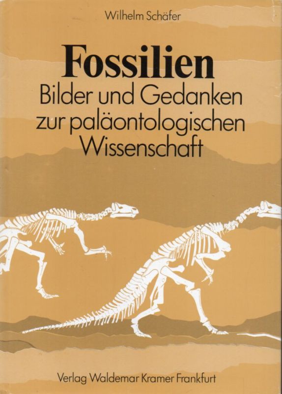 Schäfer,Wilhelm  Fossilien 
