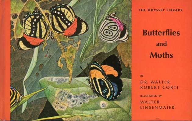 Cortri,Walter Robert  Butterflies und moths 