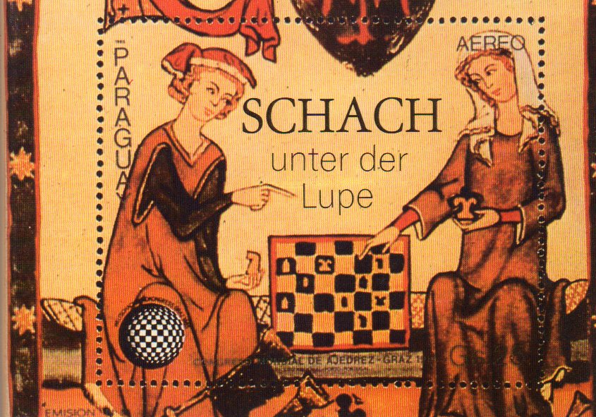 Hoffmann,Fritz und Johannes Hoffmann  Schach unter der Lupe 