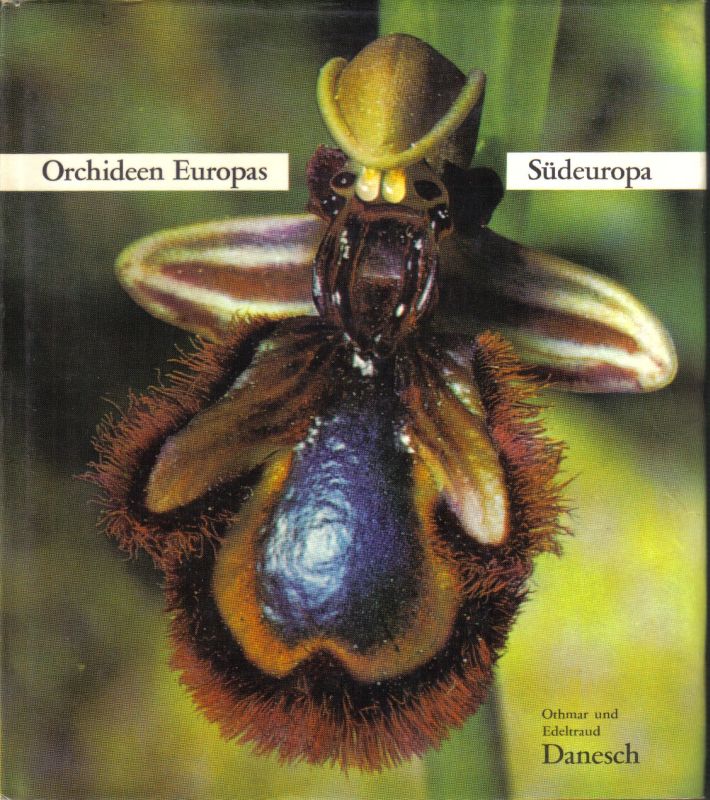 Danesch,Edeltraud  Orchideen Europas. Südeuropa 