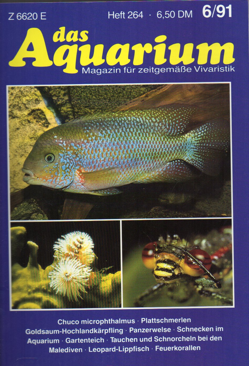 Das Aquarium  25.Jg.1991,Heft 6 