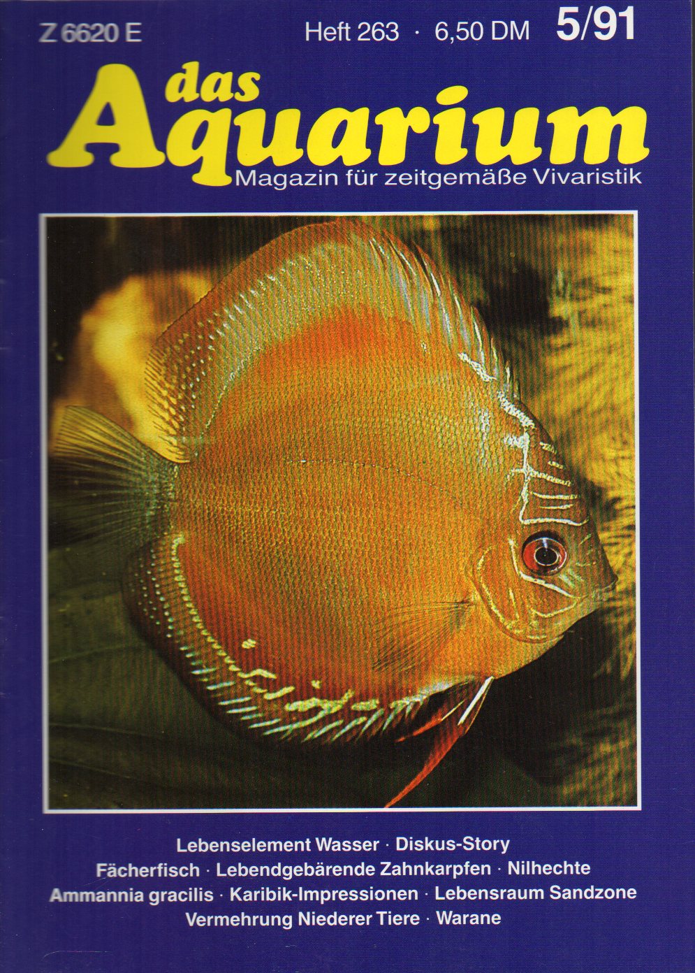 Das Aquarium  25.Jg.1991,Heft 8 