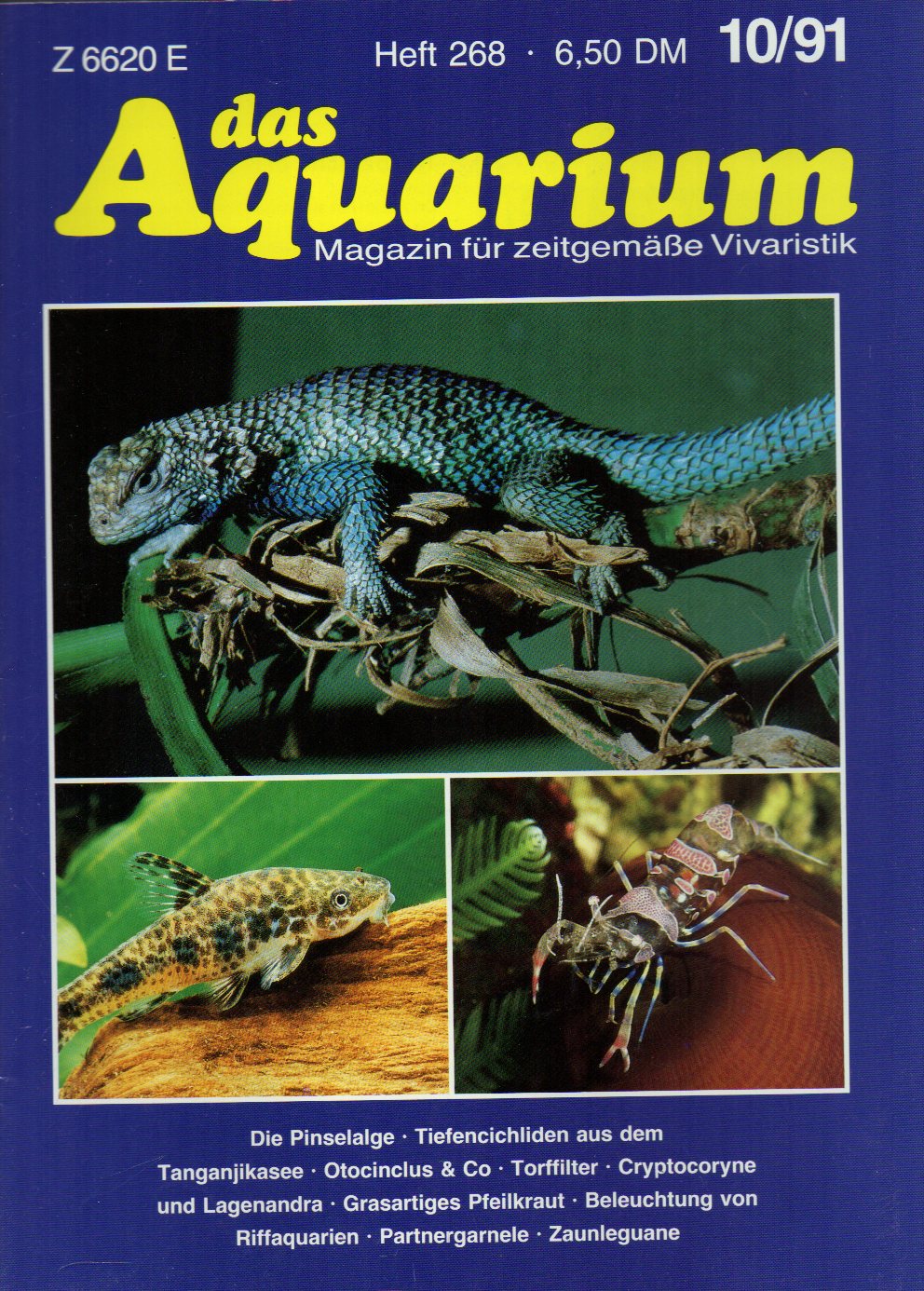 Das Aquarium  25.Jg.1991,Heft 10 
