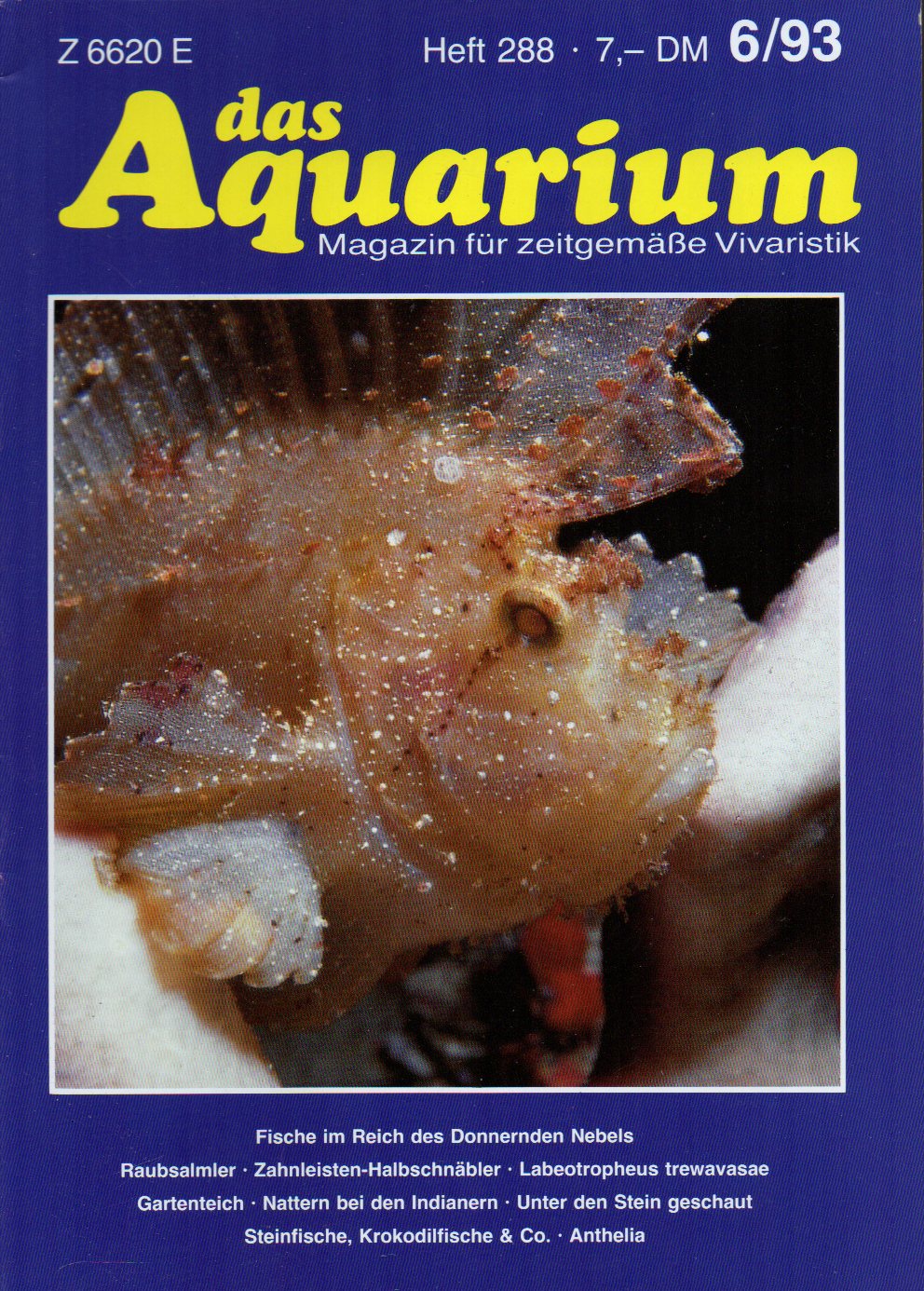 Das Aquarium  27.Jg.1993,Heft 6 