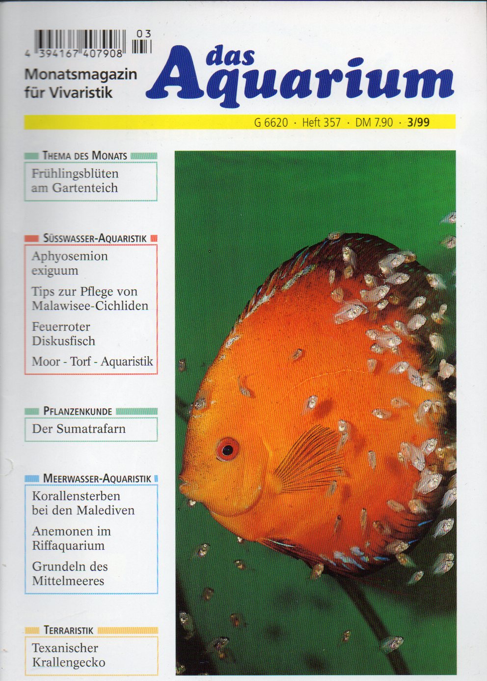 Das Aquarium  33.Jg.1999,Heft 3 