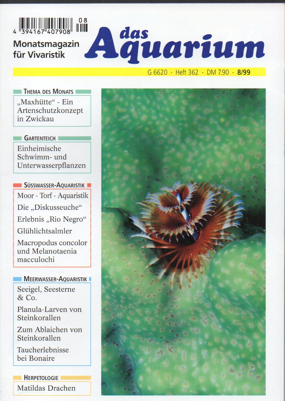 Das Aquarium  33.Jg.1999,Heft 8 