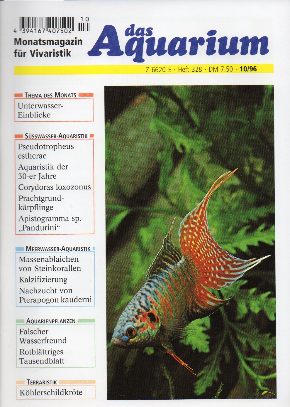 Das Aquarium  30.Jg.1996,Heft 10 