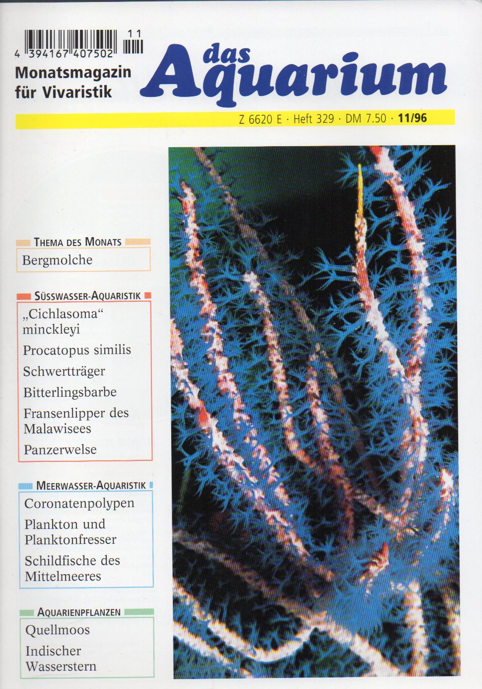Das Aquarium  30.Jg.1996,Heft 11 