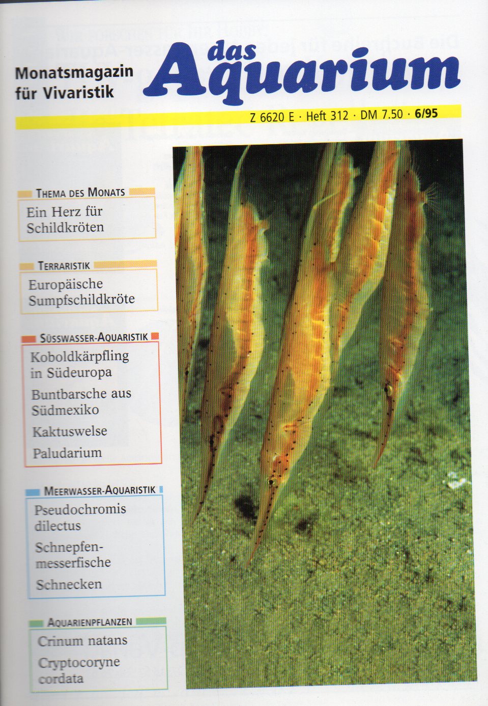 Das Aquarium  29.Jg.1995,Heft 6 