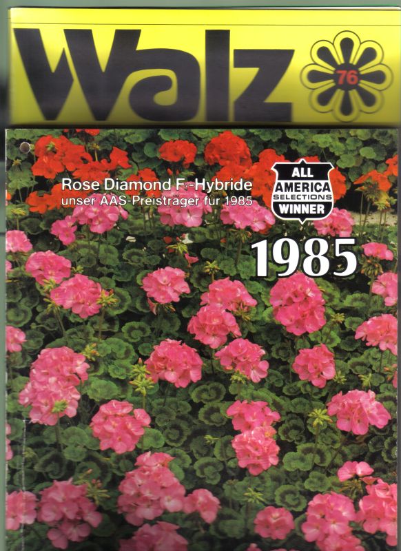Walz Samen GmbH  Hauptkatalog 1985 und 3 Kataloge über Sommerblumen und Viola 