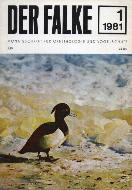 Der Falke  Der Falke 28.Jahrgang 1981 Heft 1 bis 6 