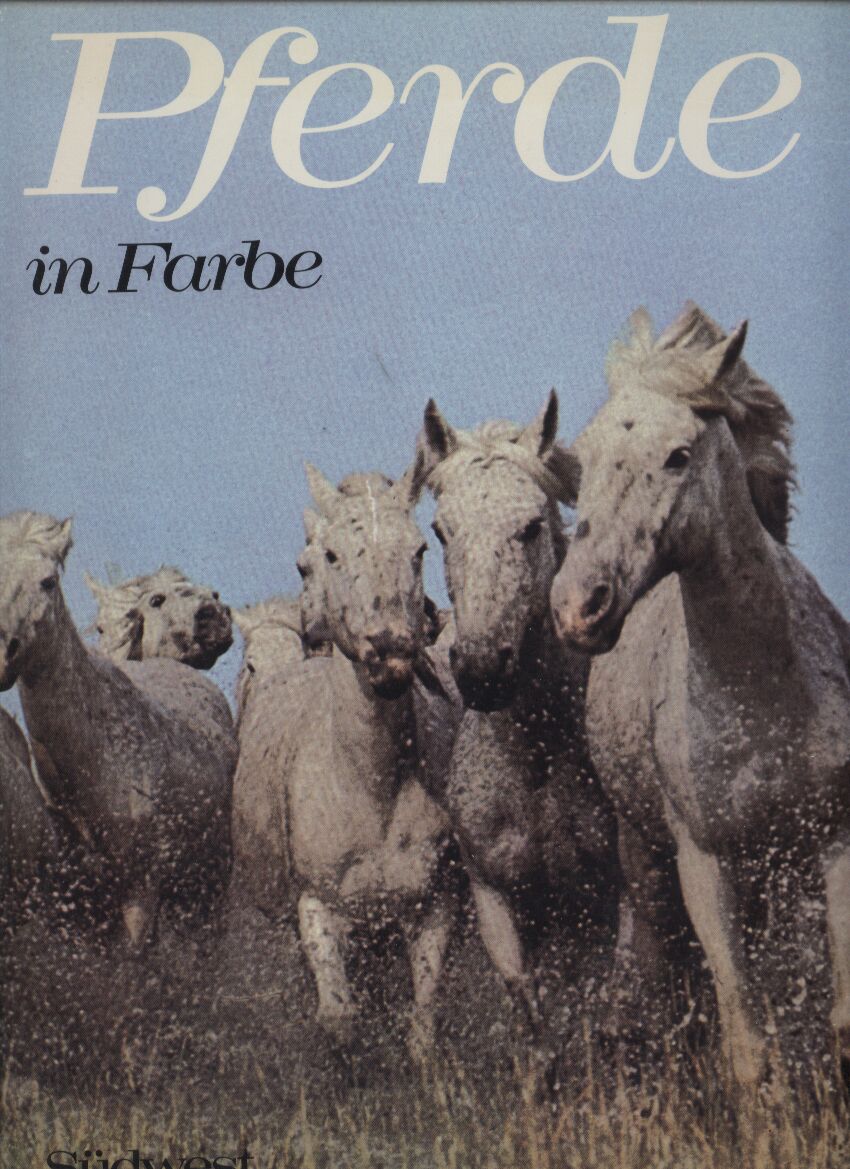 Alcock,Anne  Pferde in Farbe 