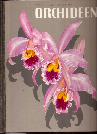 Meyer,K.H.  Orchideen in Wort und Bild 
