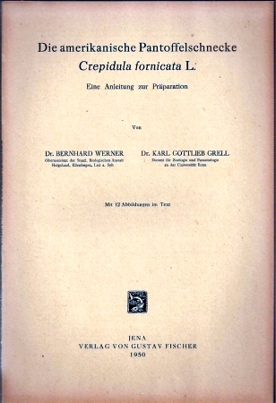 Werner,Bernhard+Karl Gottlieb Grell  Die amerikanische Pantoffelschnecke Crepidula fornicata L 