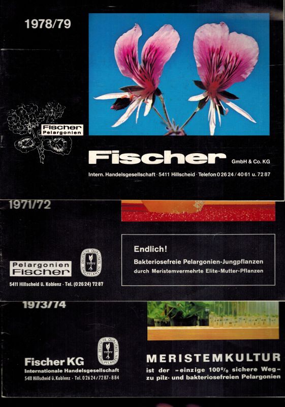 Fischer KG  Fischer Pelargonien Kataloge 1971/72, 1973/74 und 1978/79 
