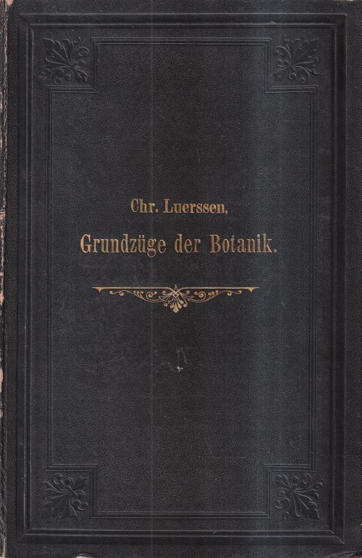 Luerssen,Chr.  Grundzüge der Botanik 