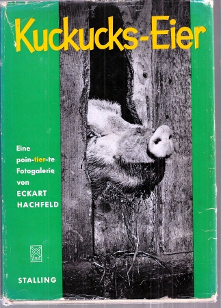 Hachfeld,Eckart  Kuckucks-Eier 