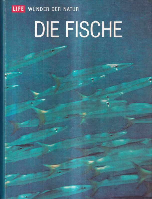 Ommanney,F.D.  Die Fische 