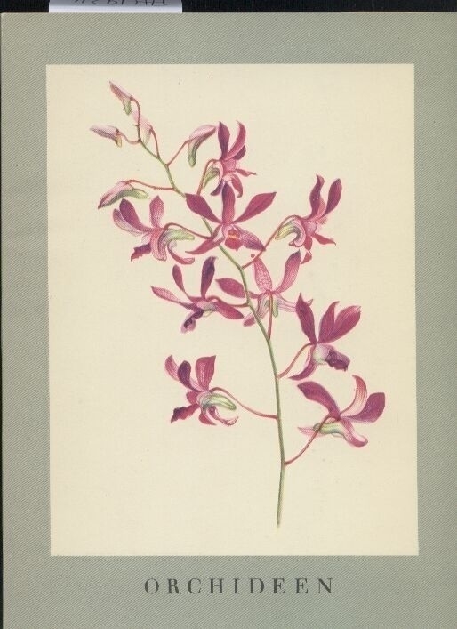 Beyer,Kurt+Karl H.Meyer  Orchideen 