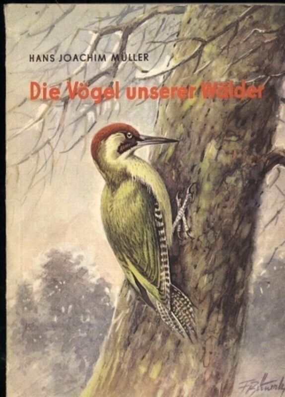 Müller,Hans Joachim  Die Vögel unserer Wälder 