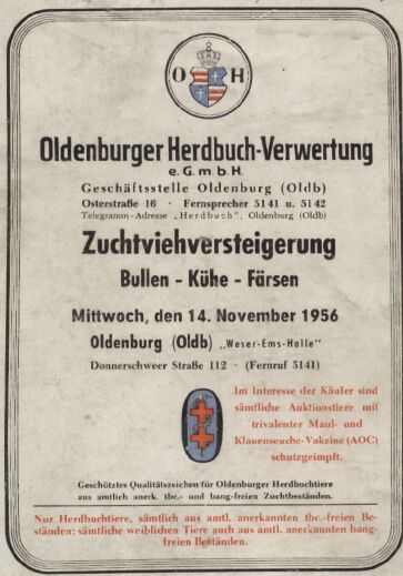 Oldenburger Herdbuch-Verwertung e.G.m.H.  Zuchtviehversteigerung Bullen,Kühe,Färsen Mittwoch,den 14.Nov.1956 