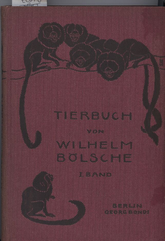 Bölsche,Wilhelm  Tierbuch. Eine volkstümliche Naturgeschichte 