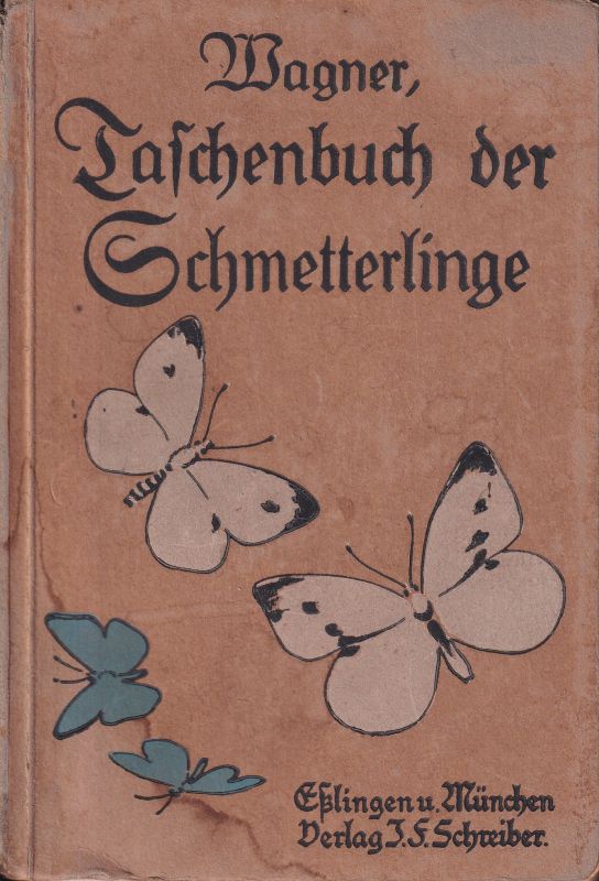 Wagner,Hans  Taschenbuch der Schmetterlinge 