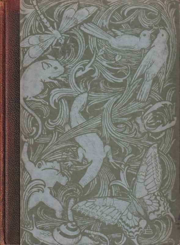 Lucanus,Friedrich von  Im Zauber des Tierlebens 