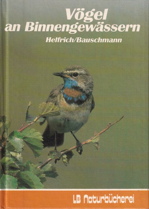 Helfrich,Rolf+Gerd Bauschmann  Vögel an Binnengewässern 
